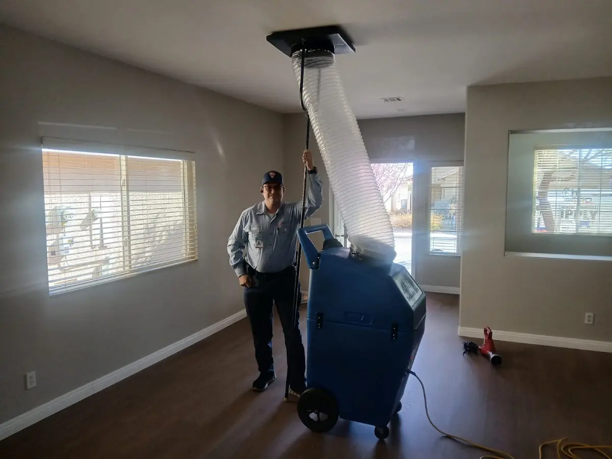 Professional Dryer Vent Cleaning work inside a Maple Valley home